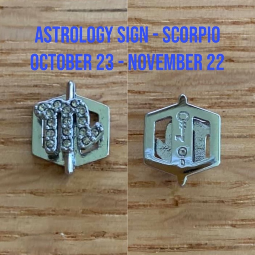 Keep Collective-Astrology Sign - SCORPIO - Silver